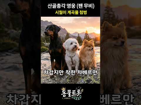 Salangui Haljeung - Lim Young Woong