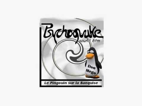 Don Mego - Le pingouin sur la banquise