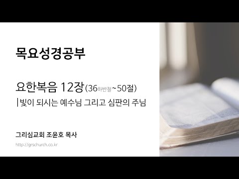 [목요성경공부] 요한복음 12장 (36 하반절~50절) : 빛이 되시는 예수님 그리고 심판의 주님