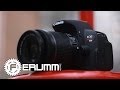 Цифровой фотоаппарат Canon EOS 700D + объектив 18-55 DC III 8596B116 - видео