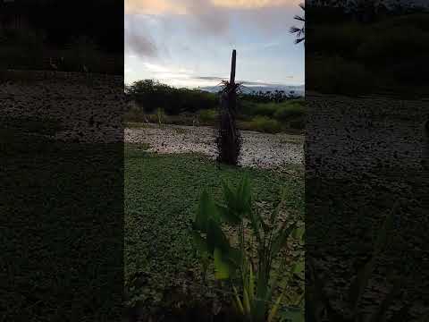 Linda paisagem  em Assare Ceará