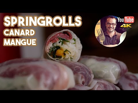 [COMMENT FAIRE] Les rouleaux de printemps ! LE PLIAGE