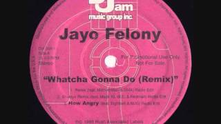 Jayo Felony feat  Method Man and DMX - Whatcha Gonna Do (Remix) (12&quot; Promo Single)