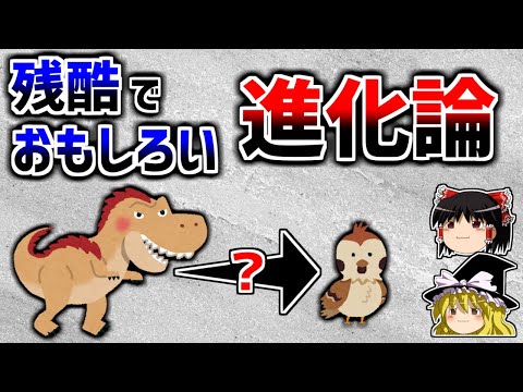 鳥類学アトラス - 定義