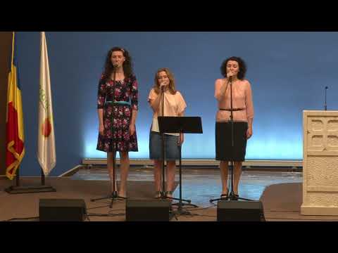 Amăgire - Cireșarii