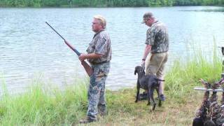 Deutsch Kurzhaar, Cobro marcado en agua