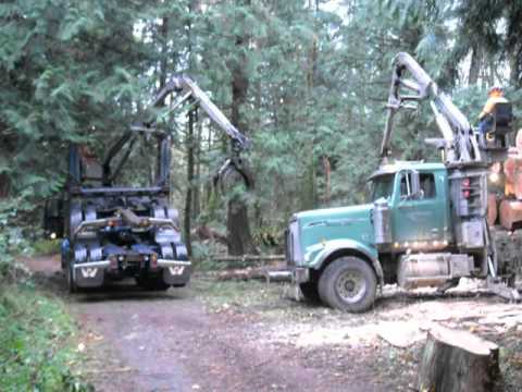 Logging-telephone poles