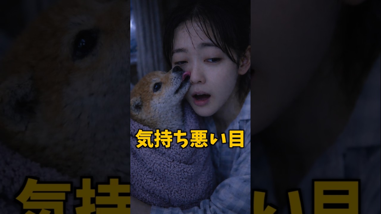 笑わなくなった女子高生を救った片目の子犬