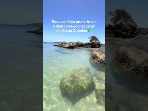 PISCINA NATURAL EM SC: Ponta da Enseada, a Praia Mais Cristalina de São Francisco do Sul