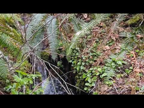 Westwood Creek headwaters - YouTube