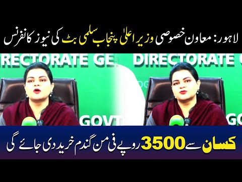 گندم کی خریداری، وزیراعلیٰ پنجاب کی معاون سلمیٰ بٹ کا اہم اعلان