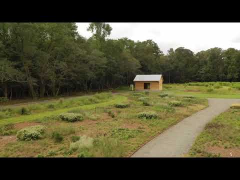 2018 09 23 The Meadow in 4K   Reedit