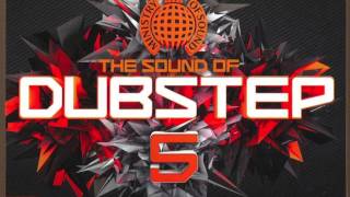 32 - Riot! (Original Mix) - The Sound of Dubstep 5