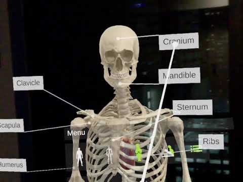 Insight Heart Magic Leap