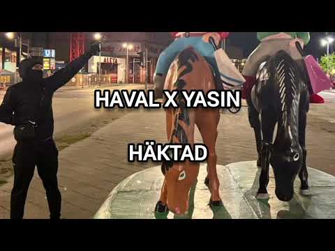 HAVAL X YASIN - HÄKTAD (OSLÄPPT)