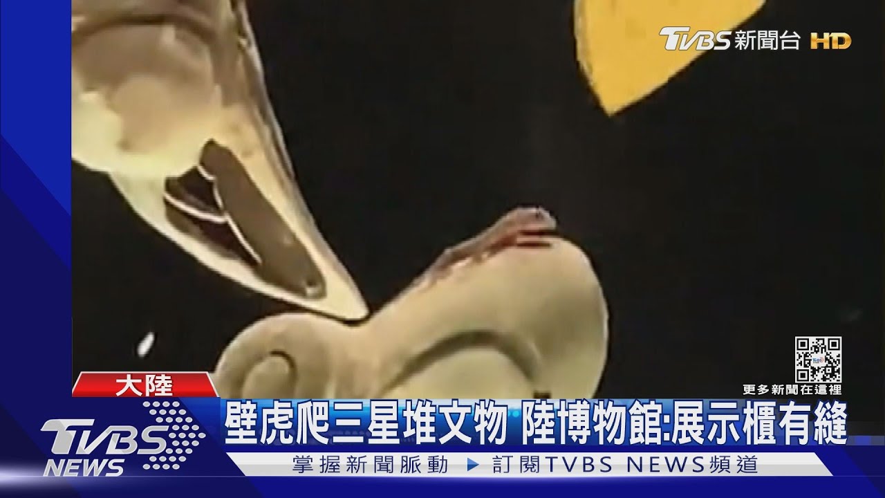 壁虎爬三星堆文物　陸博物館：展示櫃有縫