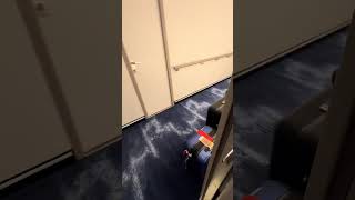 Cruise Day Vibes: Opening My Cabin Door to Luggage Already Waiting!