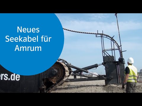 SH Netz - Nessie im Wattenmeer