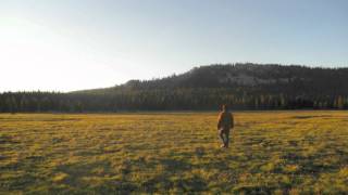 Kings and Comrades - &quot;Don&#39;t Wanna Wait For Tomorrow&quot;