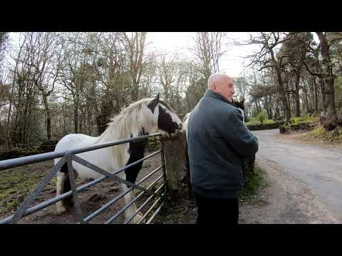 Brockholes circular 4K (walk) 15 Apr 19 (8a)