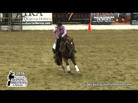 Magnamus ridden by Hannah Mitchell  - 2016 NRBC (NP Finals - Sec. 2)