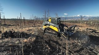 Beacon of Light in the Black Forest