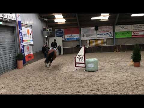 G (v. ‘A Lee Springpower)