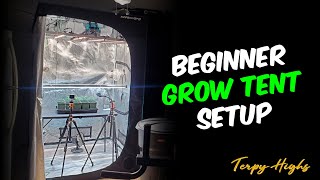 Building a Complete Grow Tent Setup for Beginners Everything NEEDED!