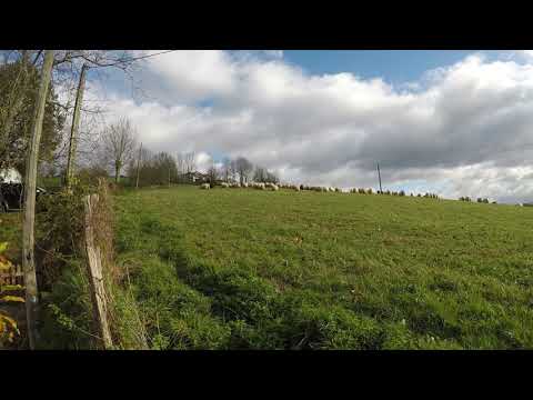 Abenduko zubia, completo! - Puente de Diciembre, completo!