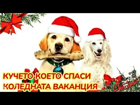Кучето което спаси коледната ваканция 2012 с българско аудио [семеен]