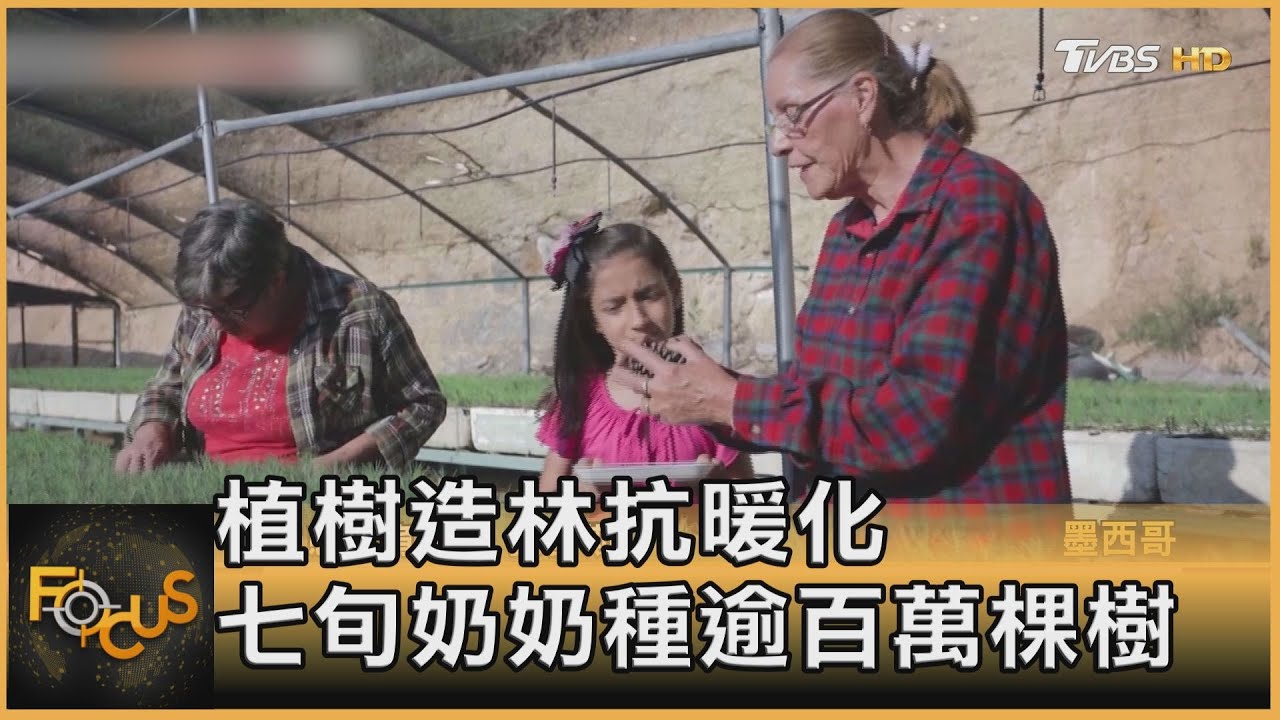 植樹造林抗暖化　七旬奶奶種逾百萬棵樹