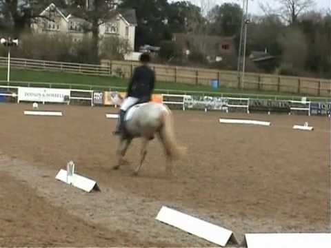 DressageTest [March31st] ;; Better Than Ever(: