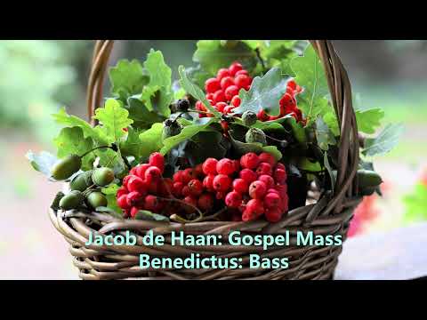 Jacob de Haan Gospel Mass Benedictus Bass