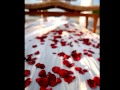 Anton Jenna S Wedding January 7 2011