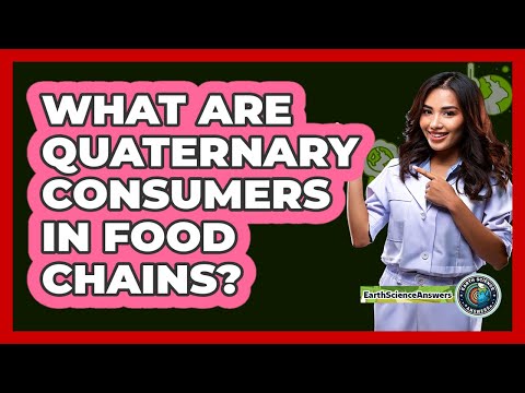 What Are Quaternary Consumers In Food Chains?