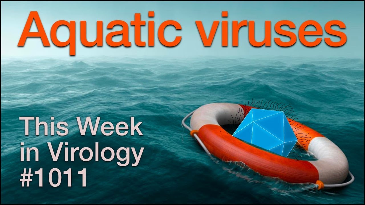 TWiV 1011: Aquatic viruses