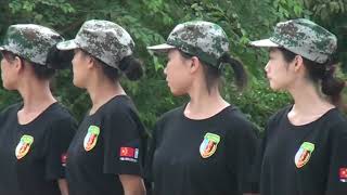 preview picture of video 'HeBei Foreign Studies University'