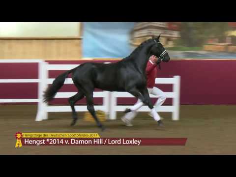 KN 07 v. Damon Hill - Lord Loxley