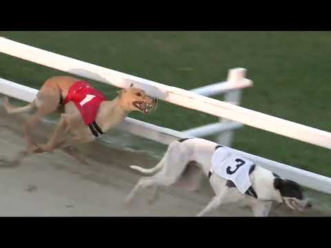 2022.07.01. 04. futam - Kincsem Park Magyar Derby Invitation