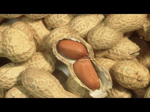 New guidelines to help prevent peanut allergies