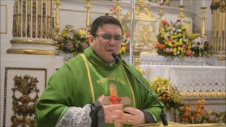 Homilia Padre Geovane Missa Dominical da 16ª semana do Tempo Comum