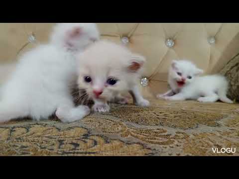 SUzzi sleeping with my brother 😘😘