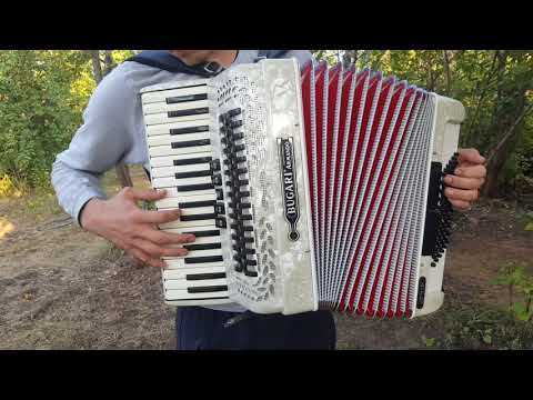 Despasito for Accordion Bugari