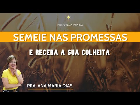 Ensino 33 Semeie nas Promessas e Receba a Sua Colheita
