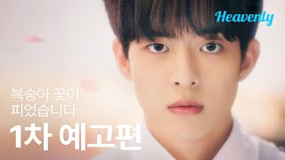 Trailer Hoa Đào Nở