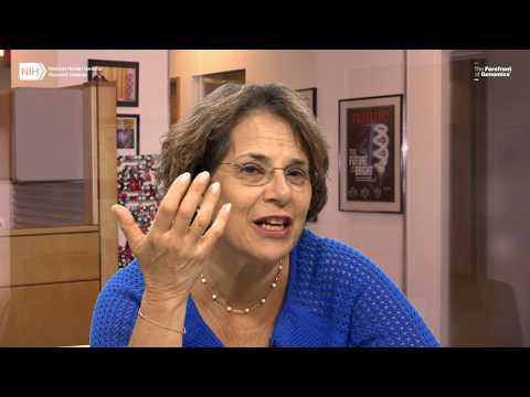 NHGRI's Oral History Collection: Interview with Karen Rothenberg