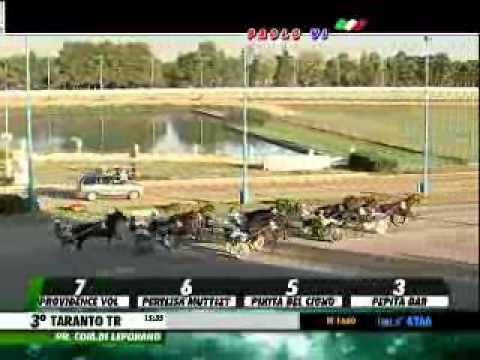 27/10/2013, Taranto , Premio Com.di Leporano C.naz.