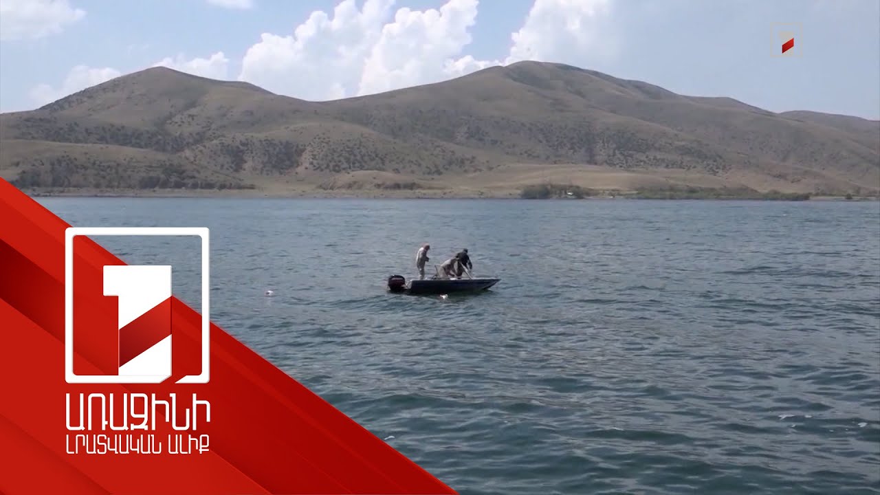 2024-ին սիգի արդյունագործական որսի համար սահմանվել է 257 տոննա քվոտա