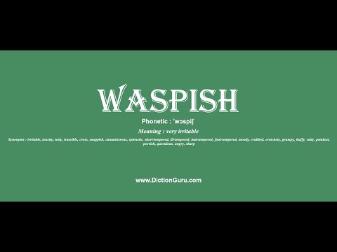 waspish: Pronounce waspish with Phonetic, Synonyms and Examples