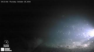 Highline MaST Center Aquarium Live Stream live webcam